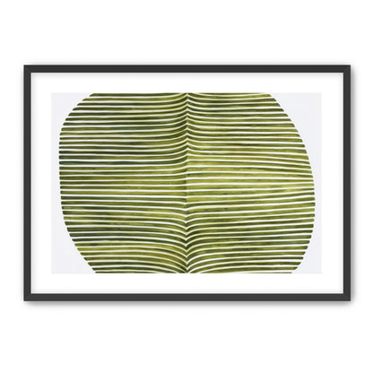 Dark green stripes crease inward