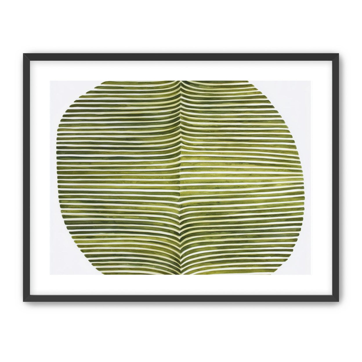 Dark green stripes crease inward