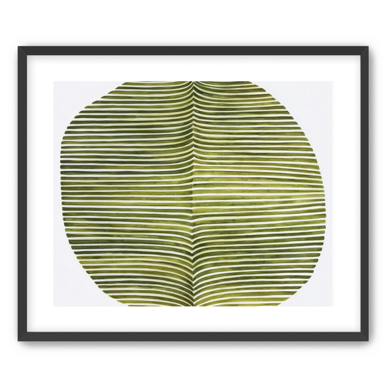 Dark green stripes crease inward