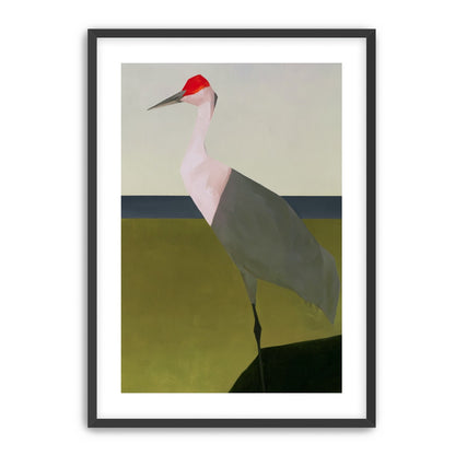 Red crown crane at the shore