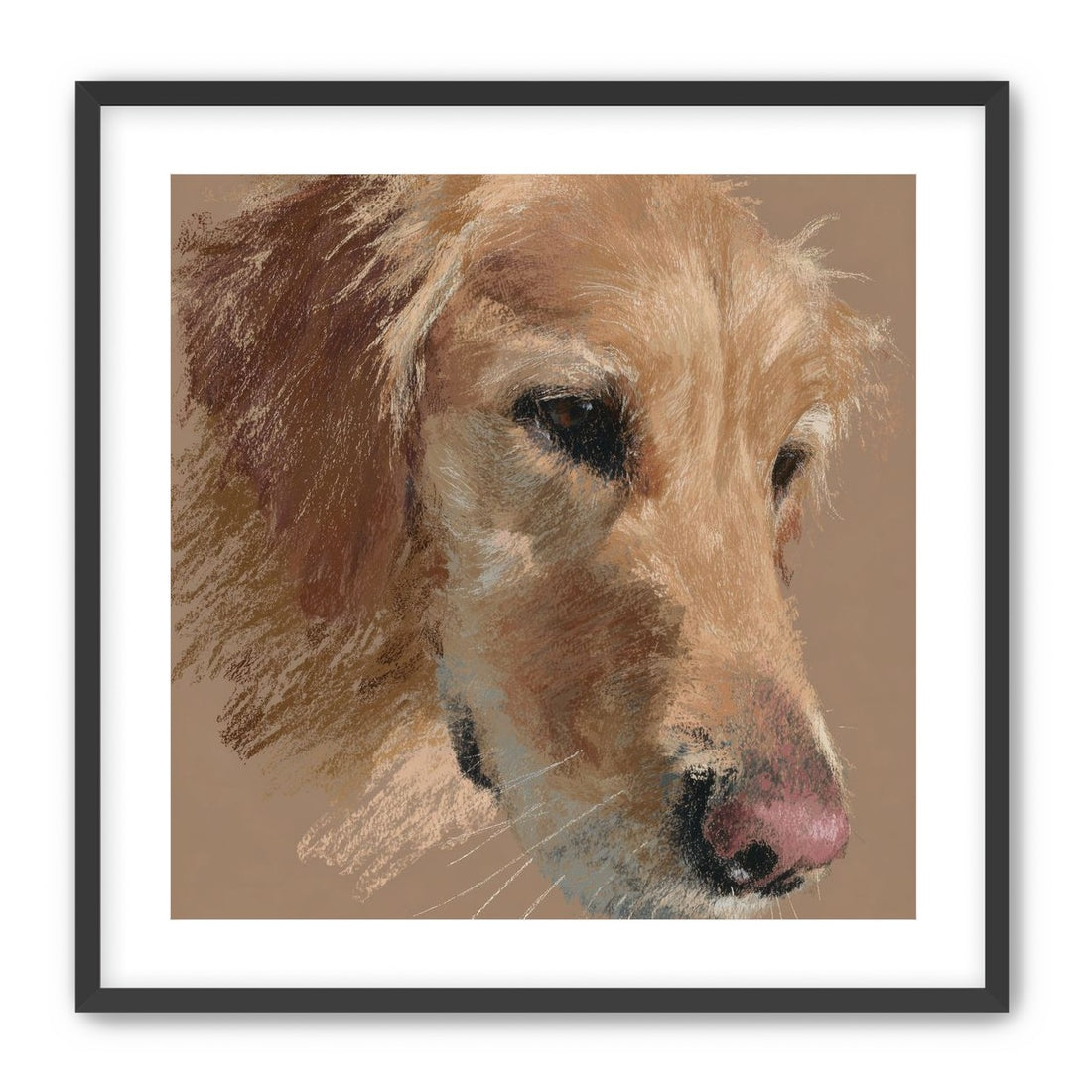 Warm browns on a golden retriever