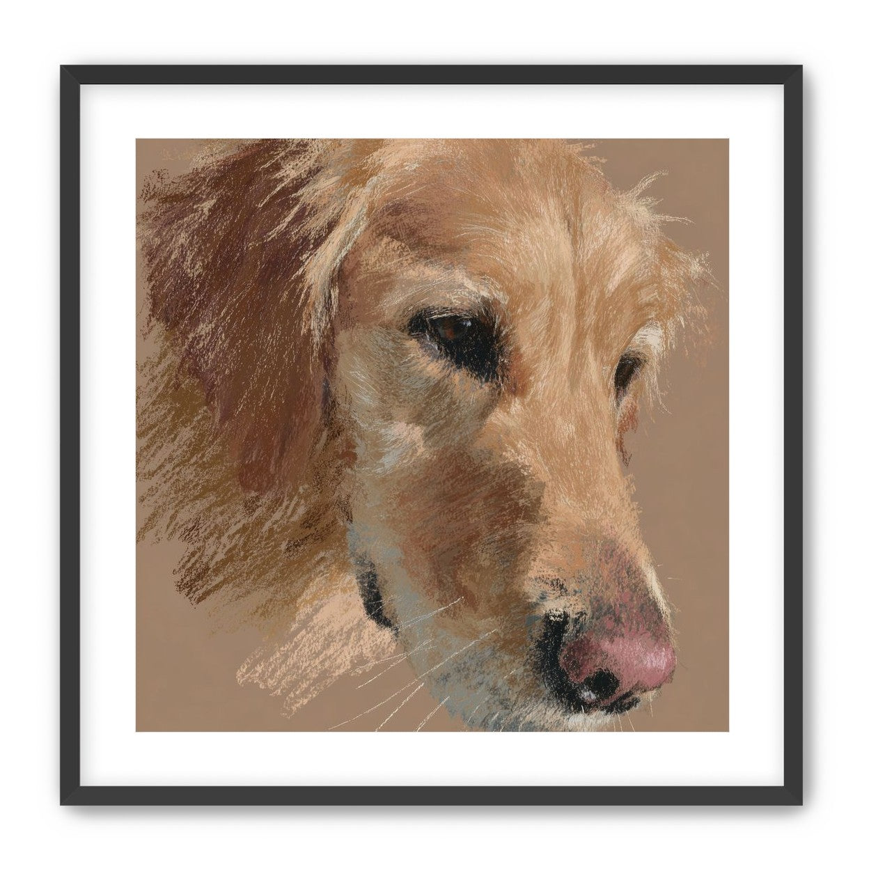 Warm browns on a golden retriever