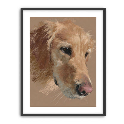 Warm browns on a golden retriever
