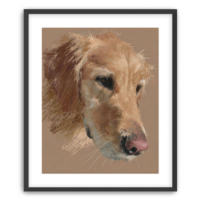 Warm browns on a golden retriever