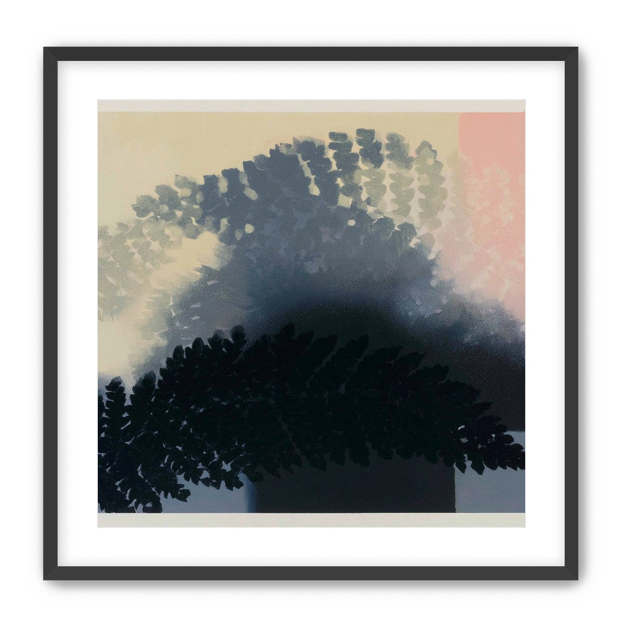 Tree shadow across the sky