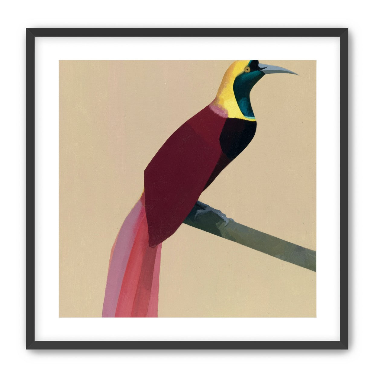 A bright bird on a branch