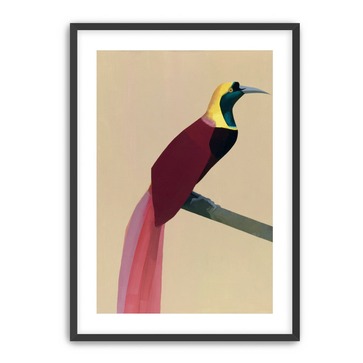 A bright bird on a branch