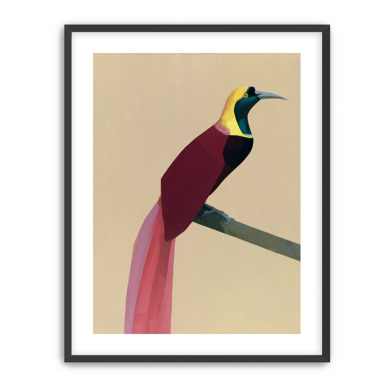 A bright bird on a branch