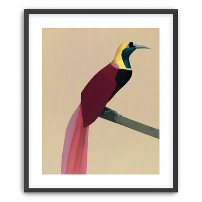 A bright bird on a branch