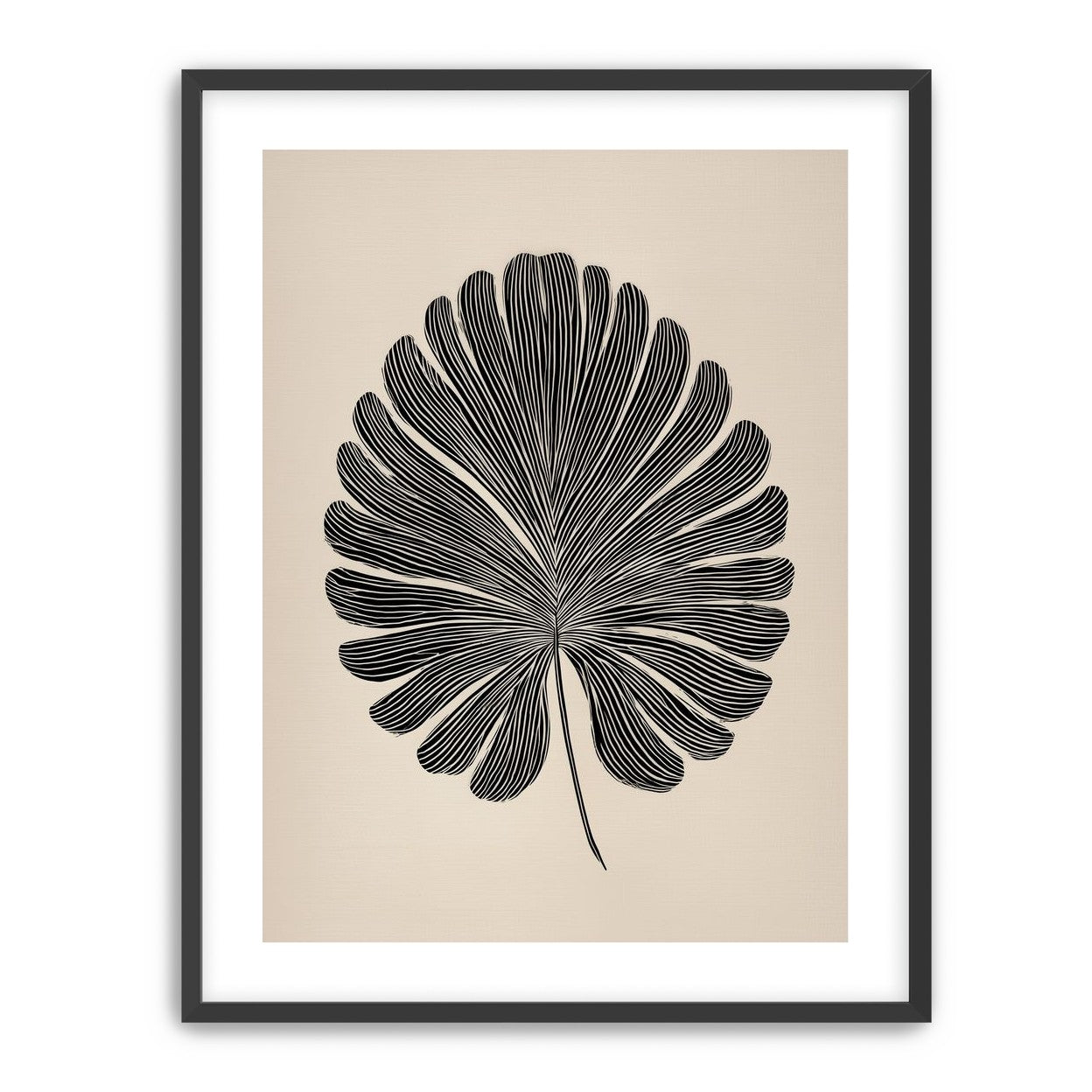 Striped fan leaf alone