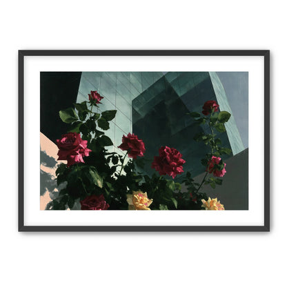 Roses against glass towers