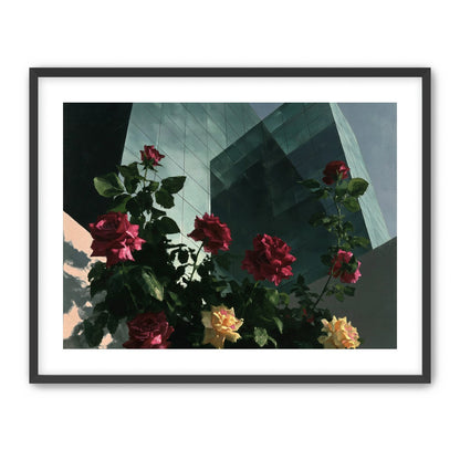 Roses against glass towers