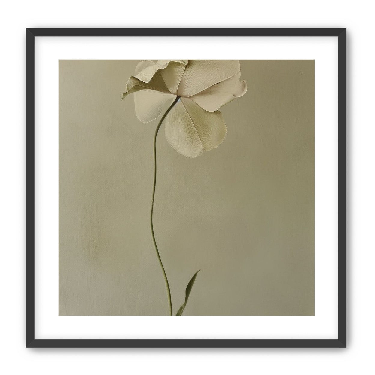 One flower leaning into quiet