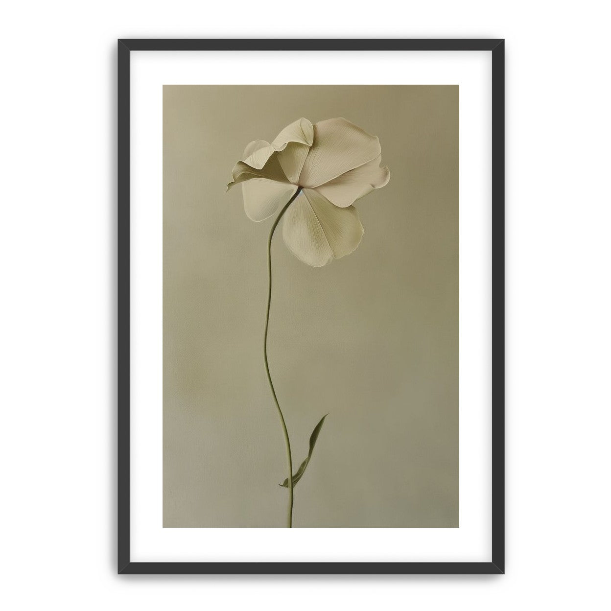 One flower leaning into quiet