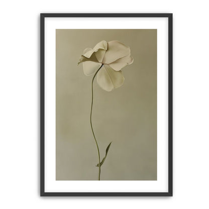 One flower leaning into quiet