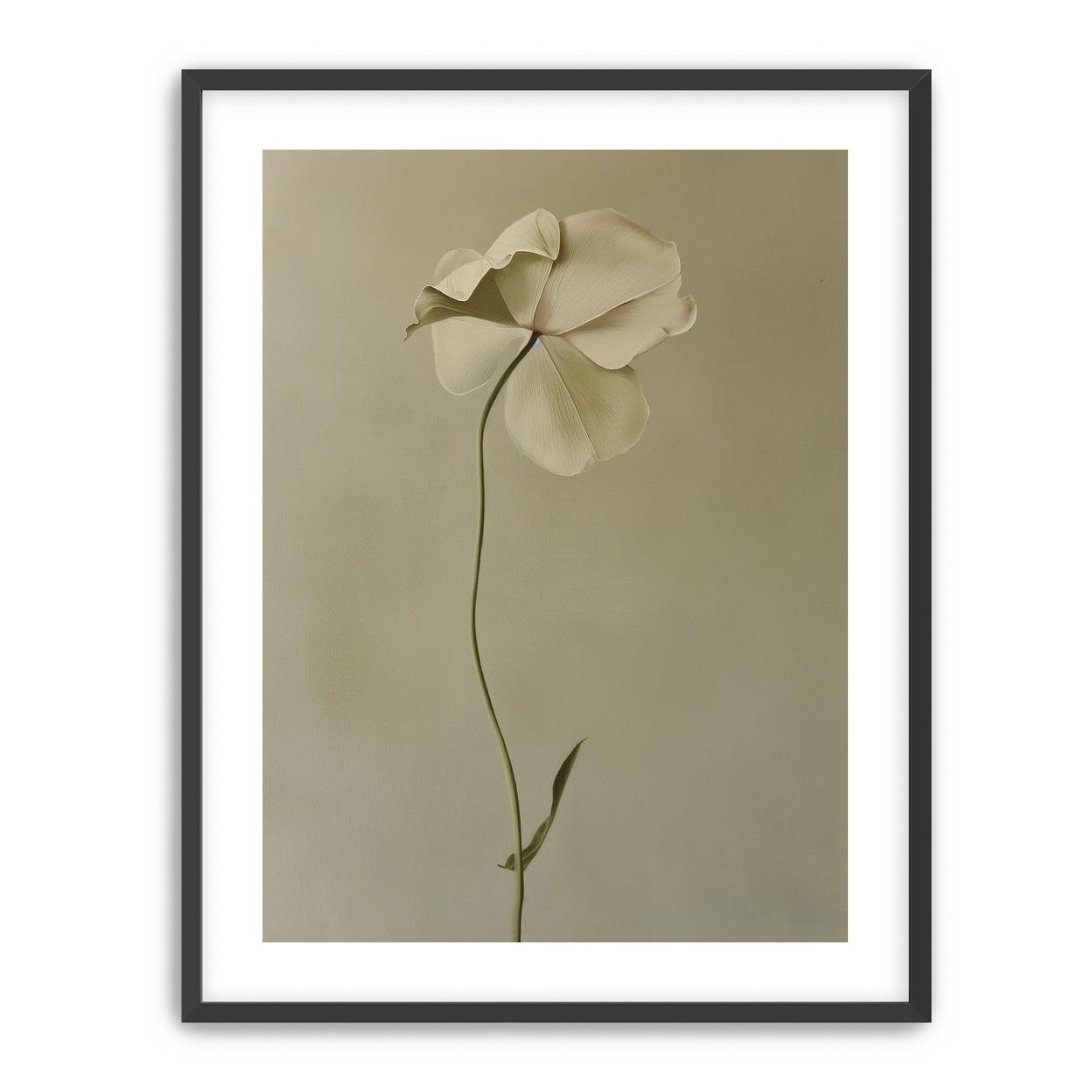 One flower leaning into quiet
