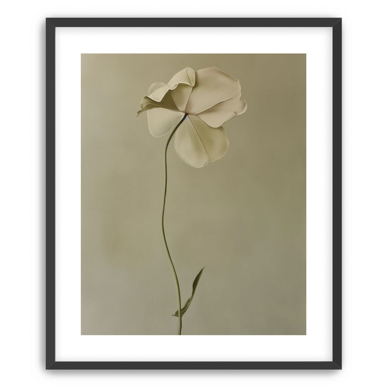 One flower leaning into quiet