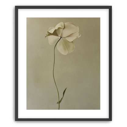 One flower leaning into quiet