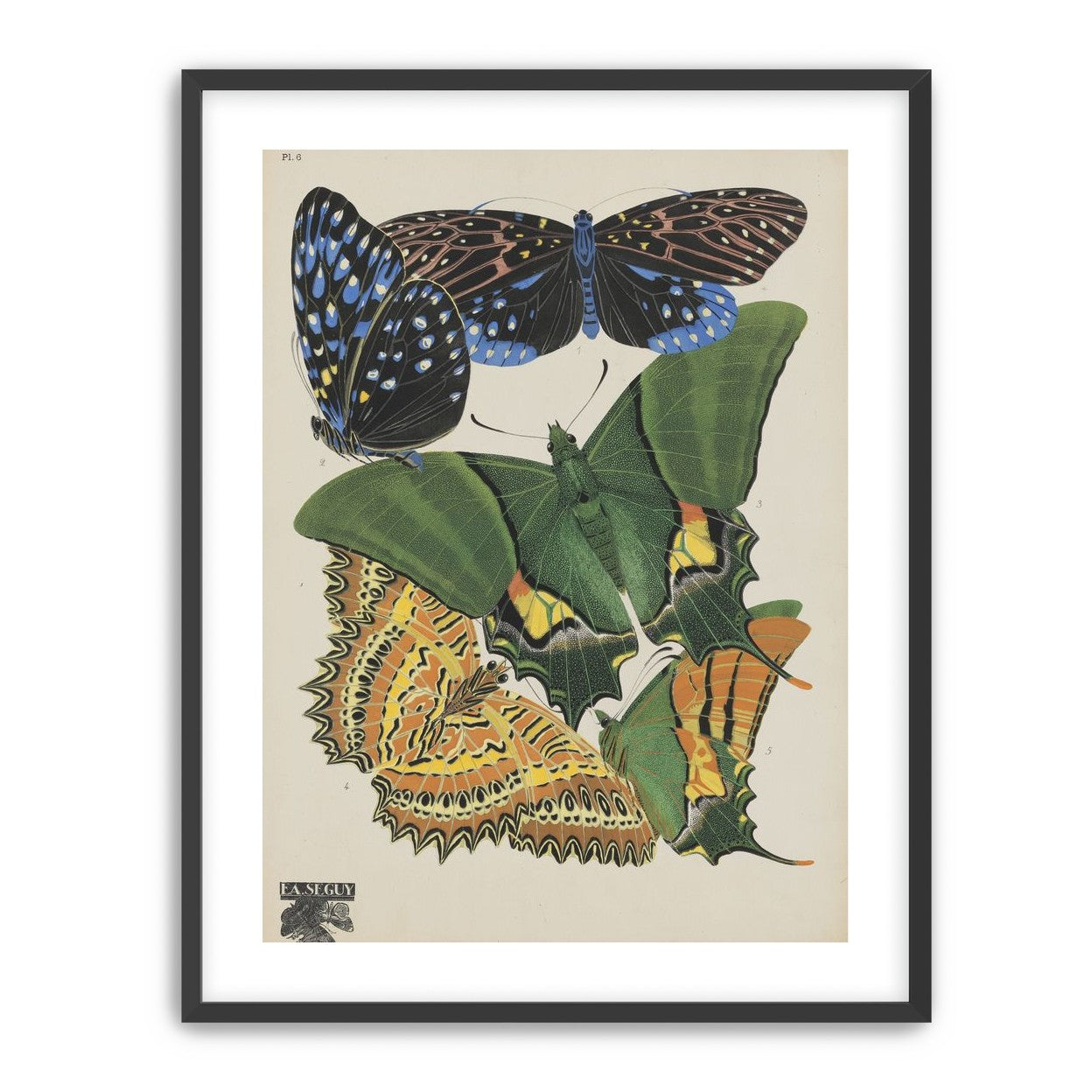 Butterflies on a pale plate