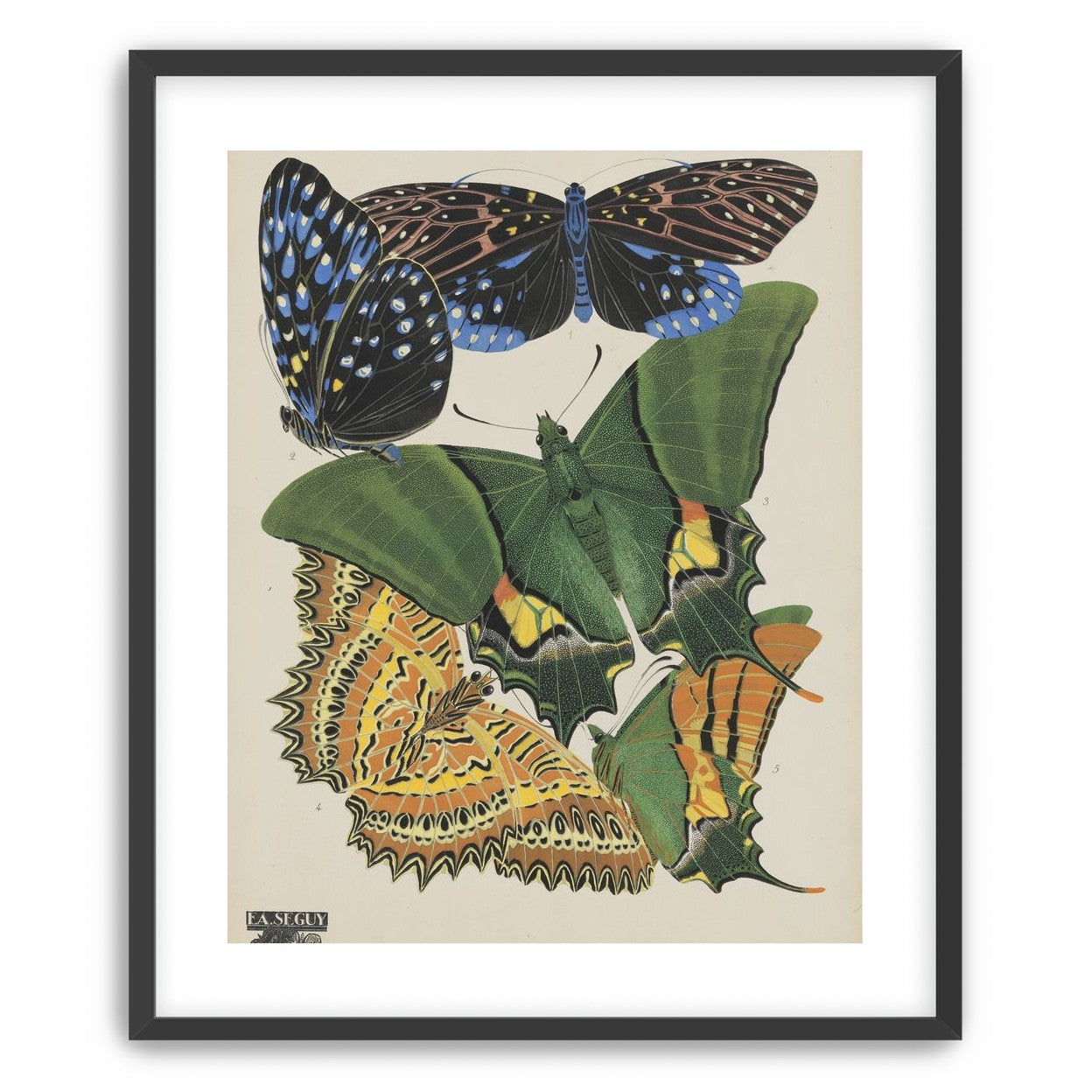 Butterflies on a pale plate