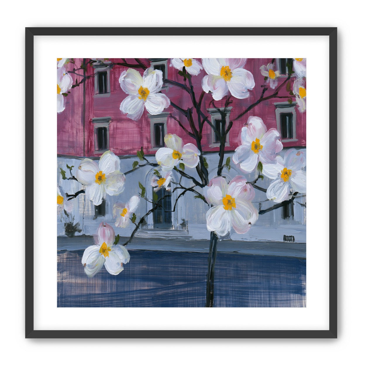 White blossoms over the pink house
