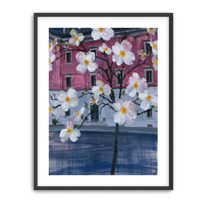 White blossoms over the pink house