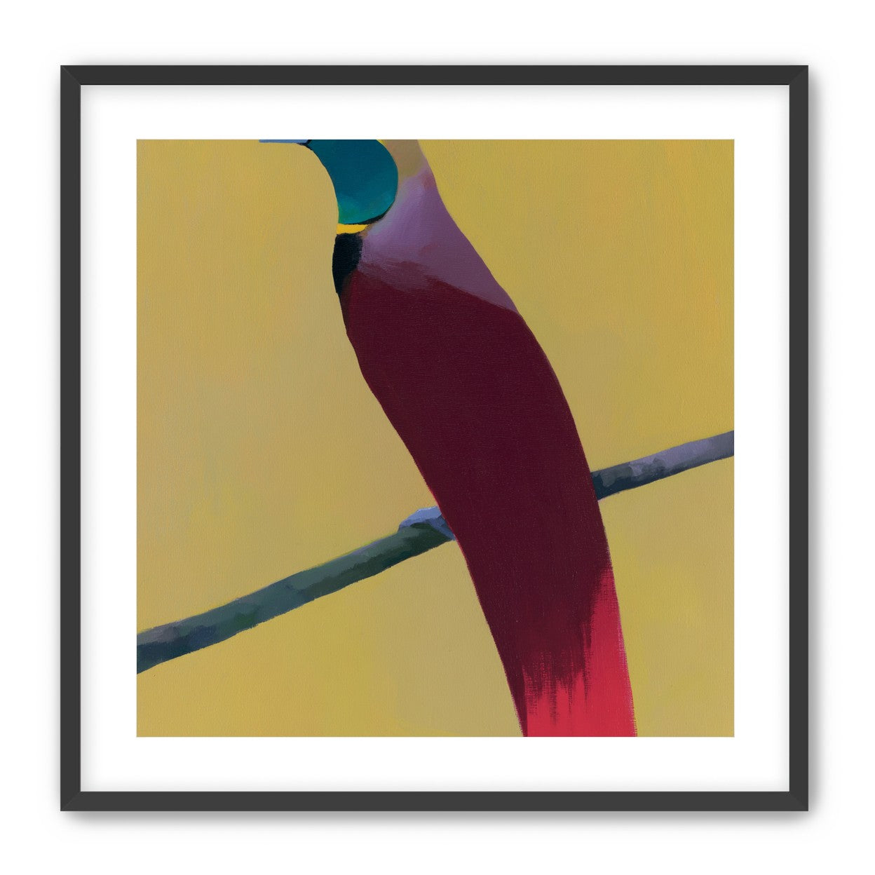 A bright bird on yellow