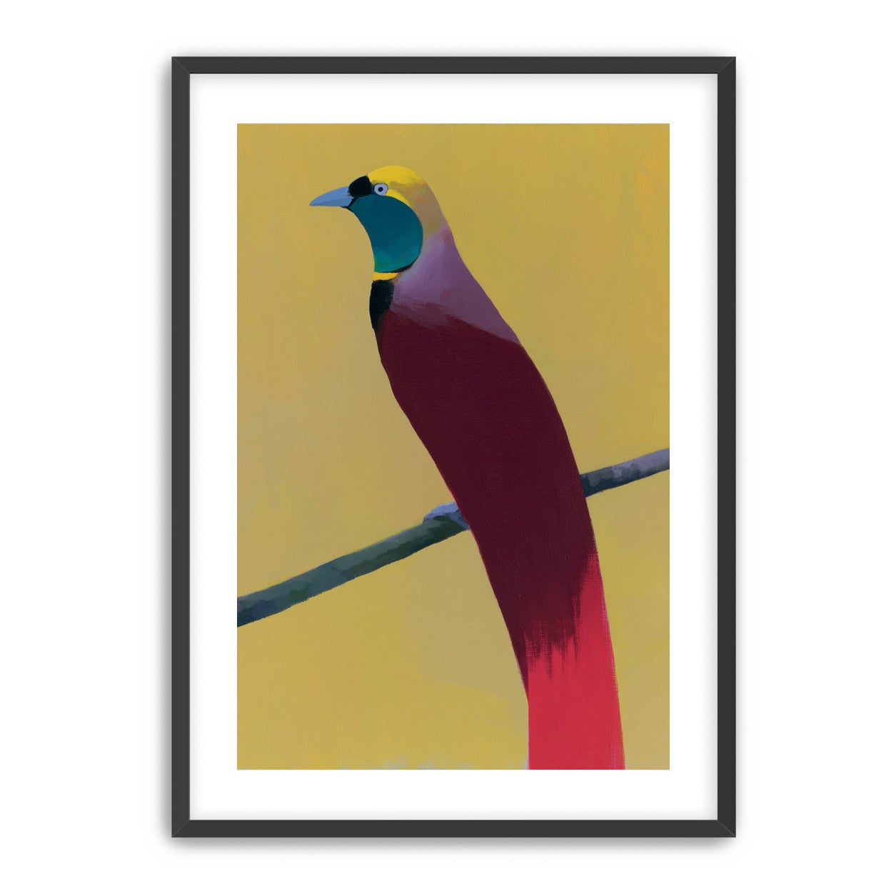 A bright bird on yellow