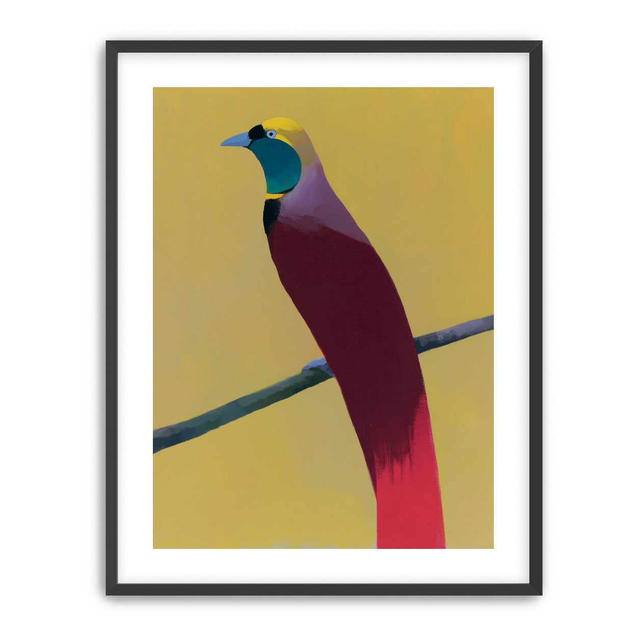 A bright bird on yellow