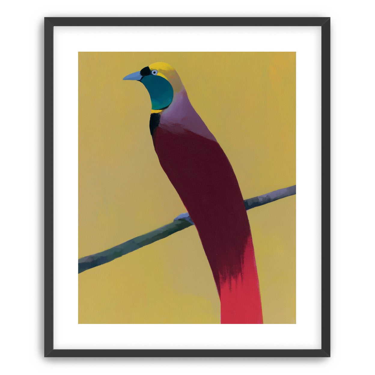 A bright bird on yellow