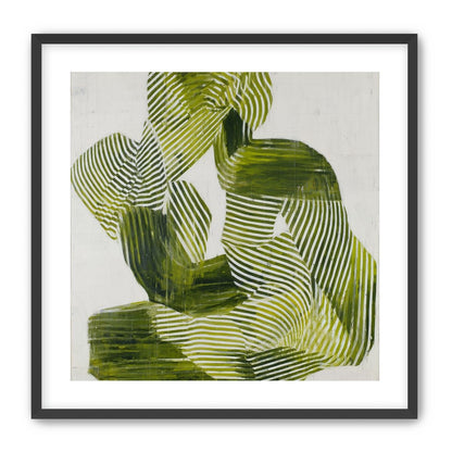 Olive stripes in repose