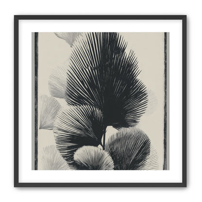 Fan fronds in ink shadow