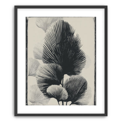 Fan fronds in ink shadow