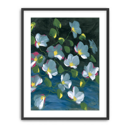 Pale blooms on black