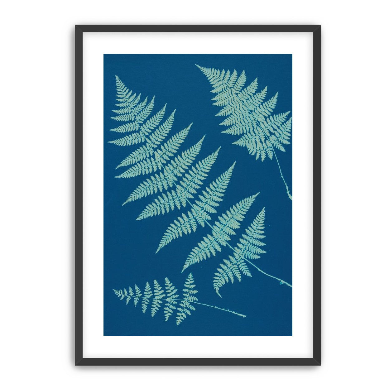 Pale ferns in deep blue