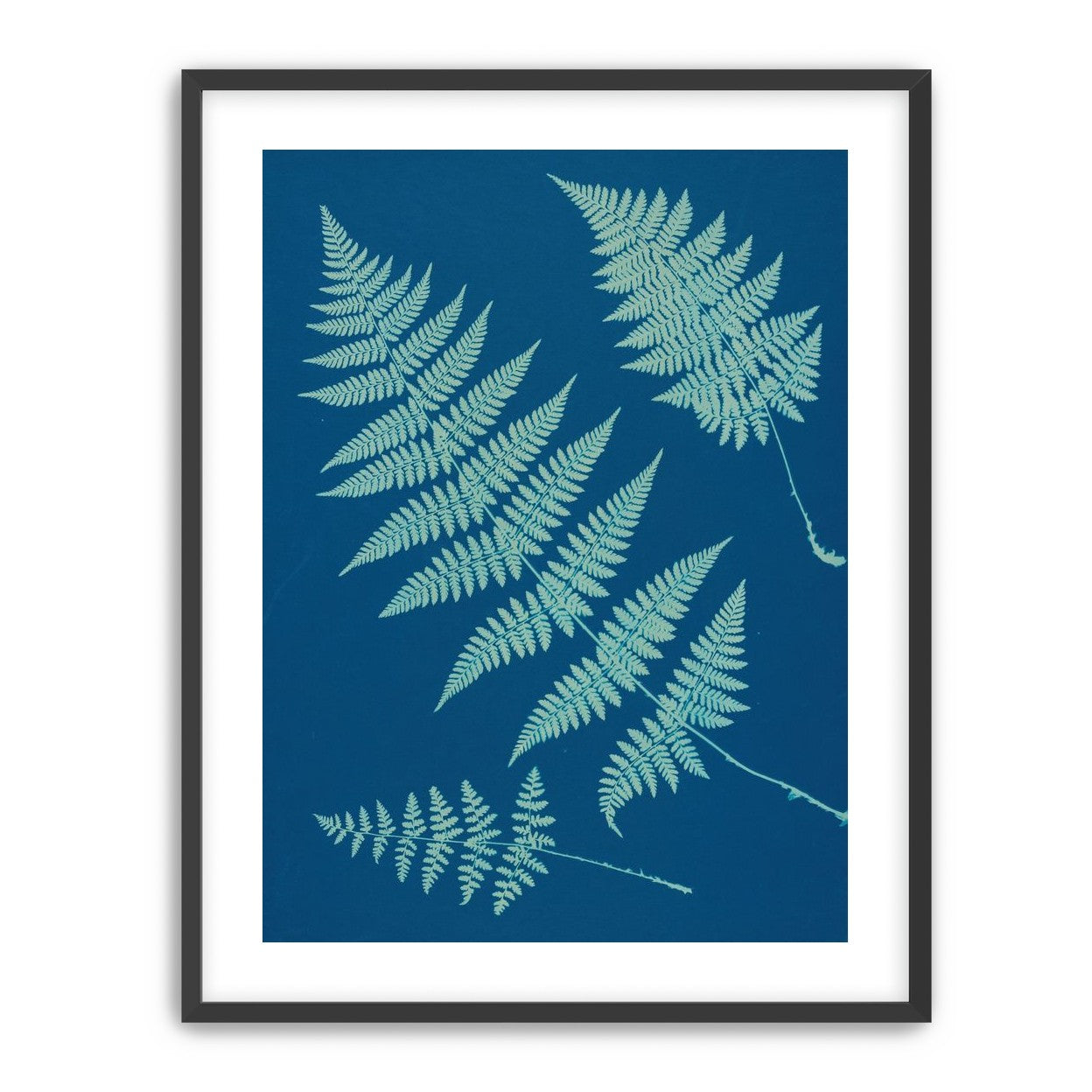 Pale ferns in deep blue