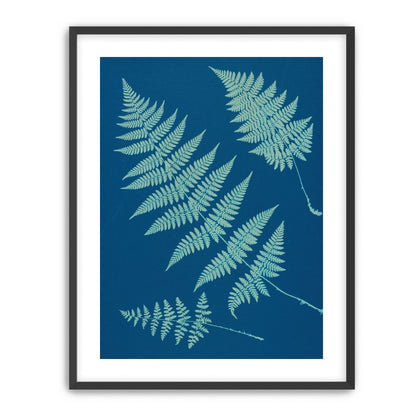 Pale ferns in deep blue