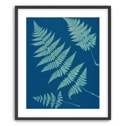 Pale ferns in deep blue