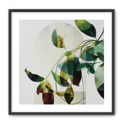 Leaves in a pale halo