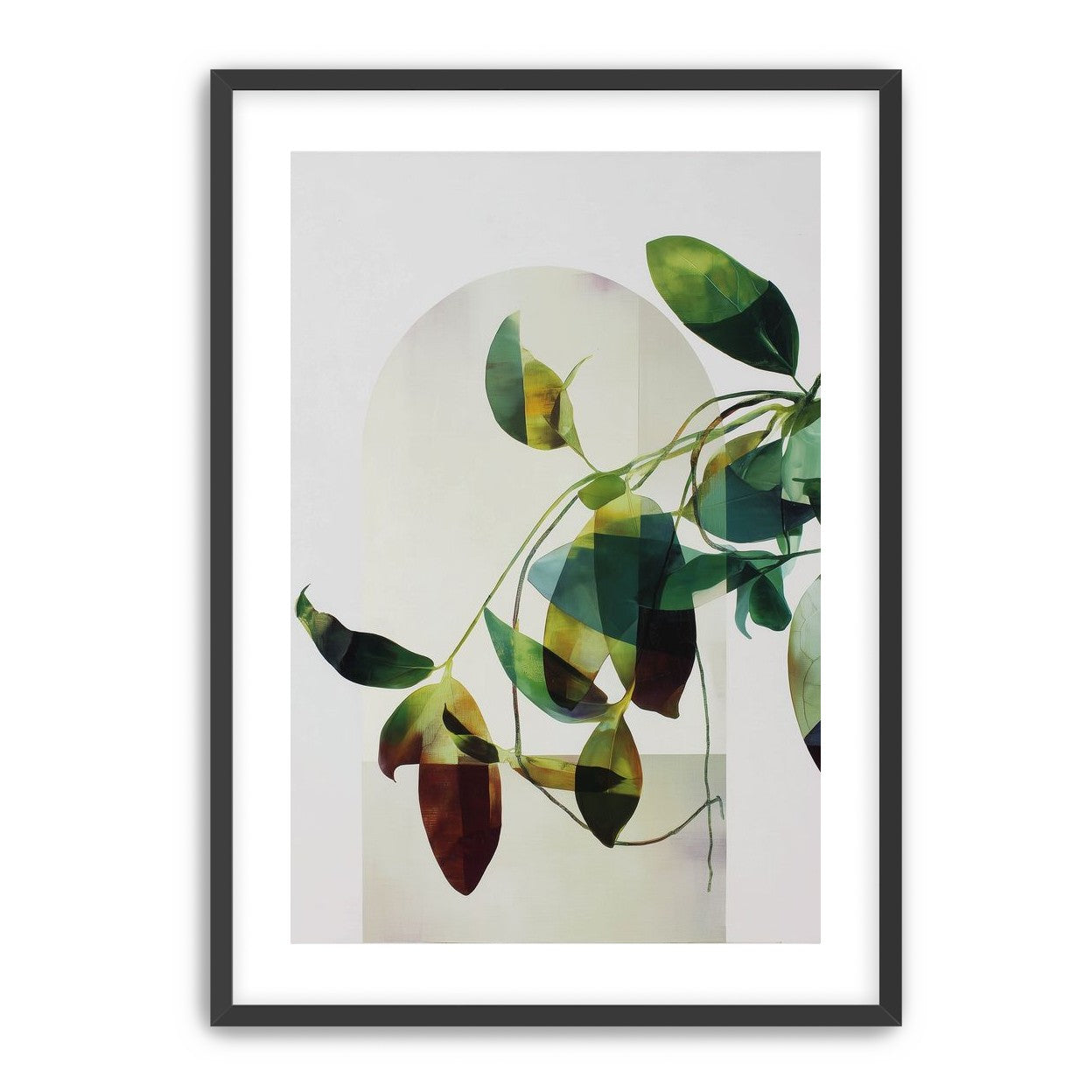 Leaves in a pale halo