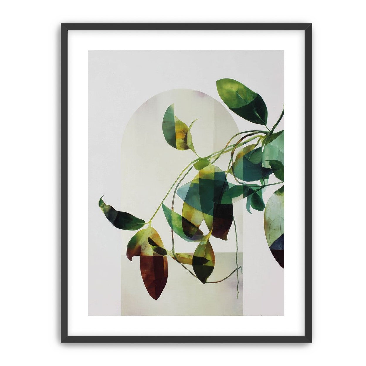 Leaves in a pale halo