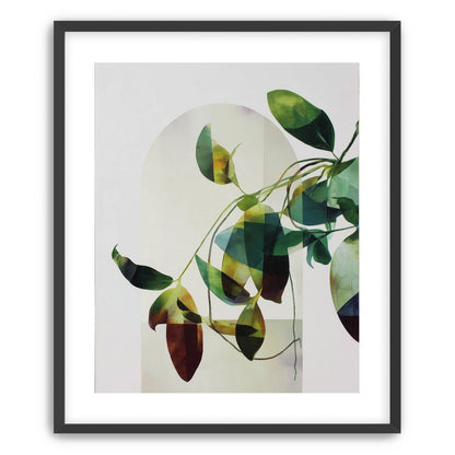 Leaves in a pale halo