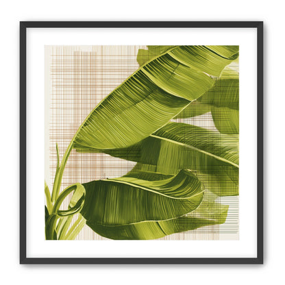 Banana leaves against the grid