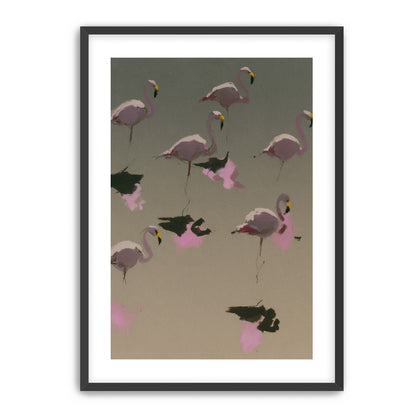 Flamingos in still water