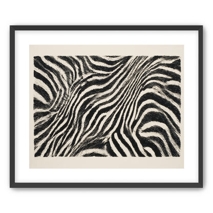 Zebra stripes across the frame
