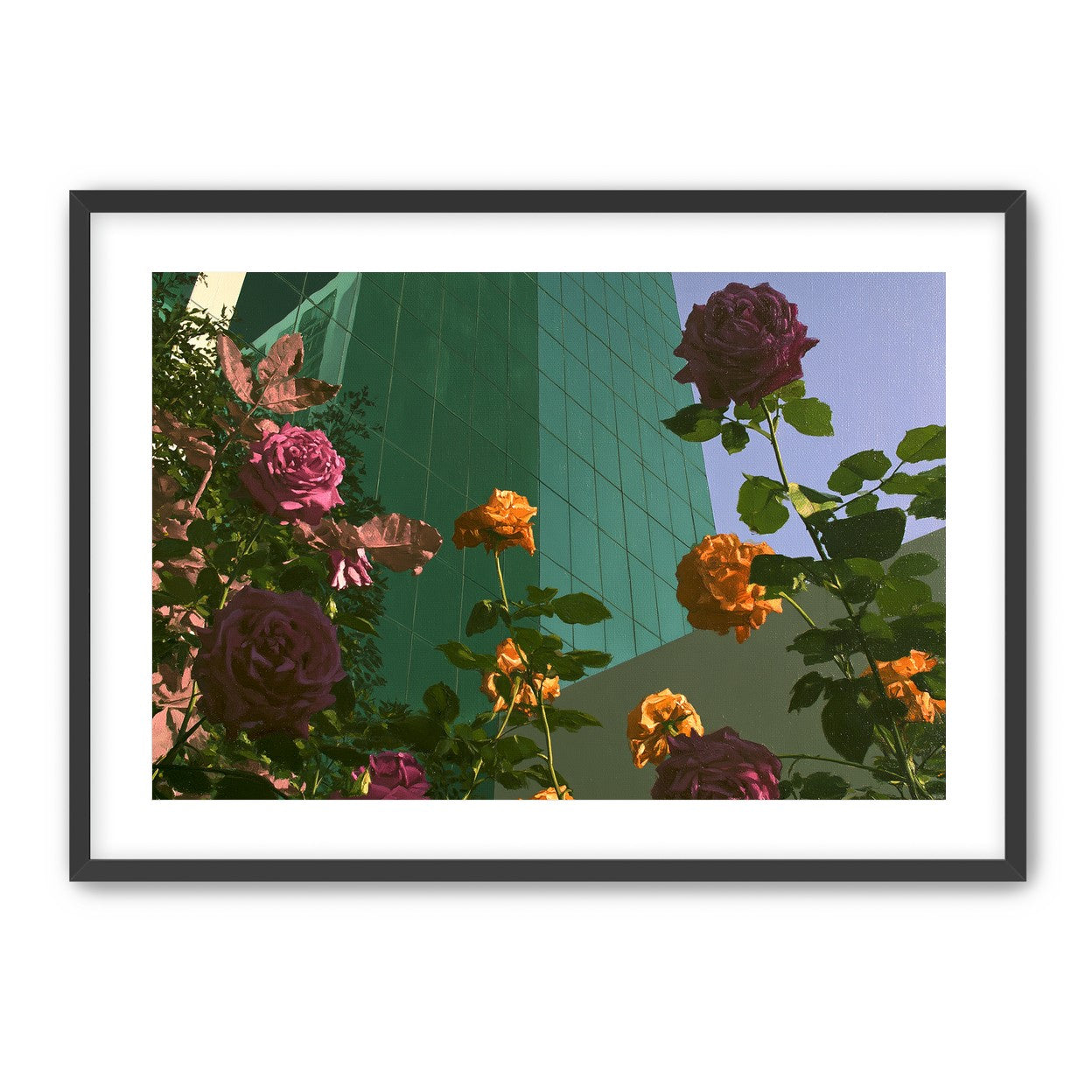 Roses climbing the glass wall