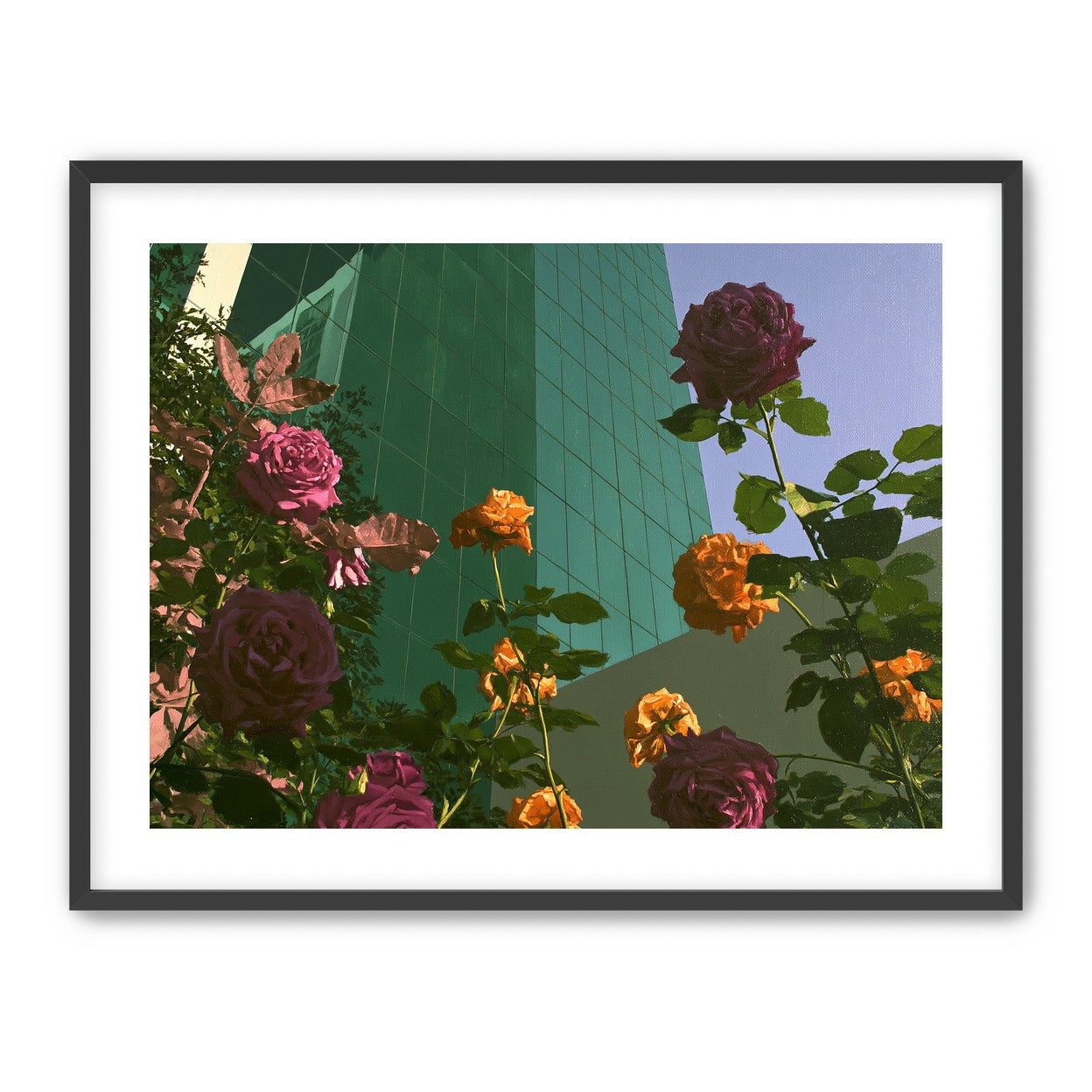 Roses climbing the glass wall