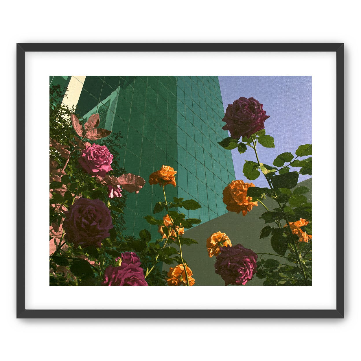 Roses climbing the glass wall