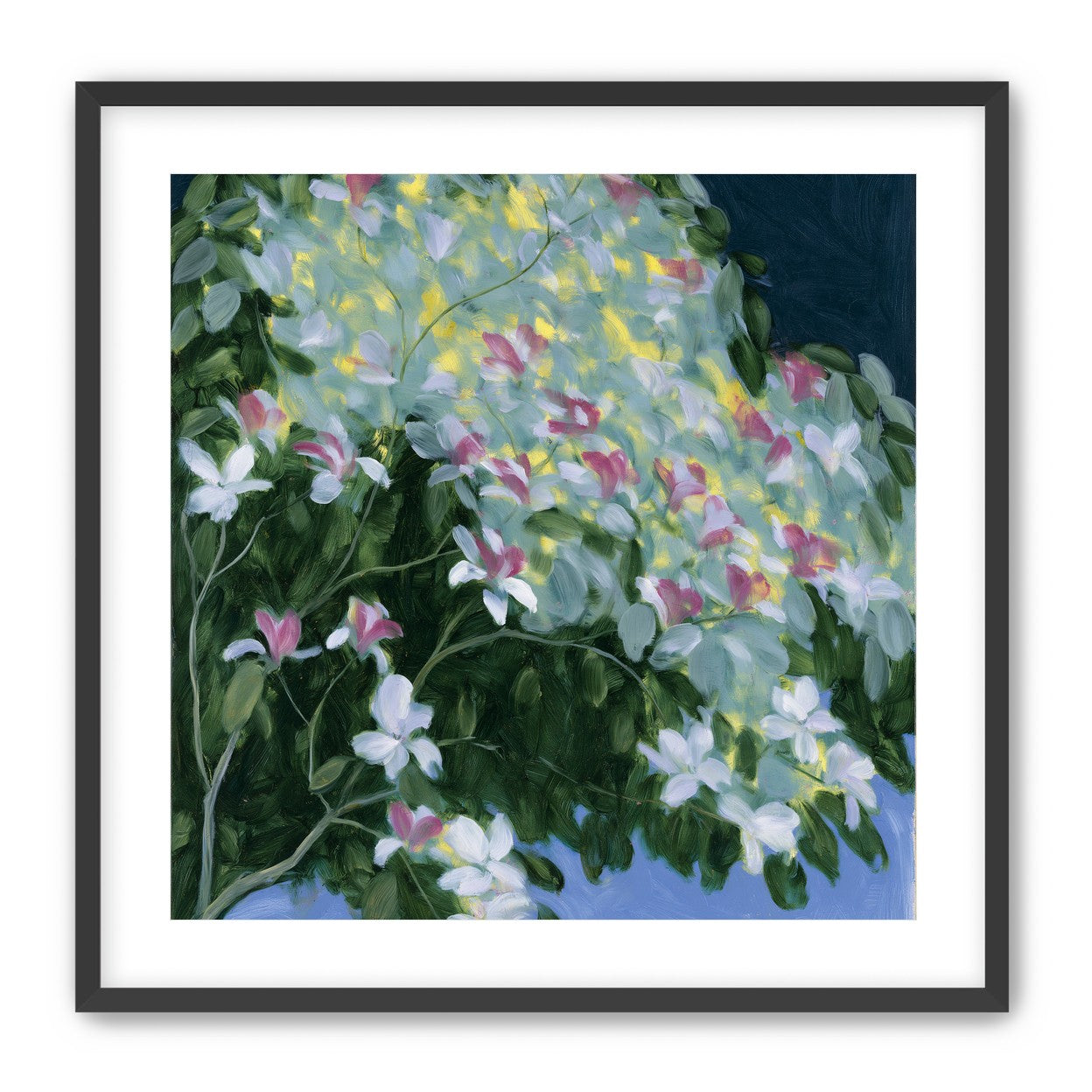 Blossoms across the night sky