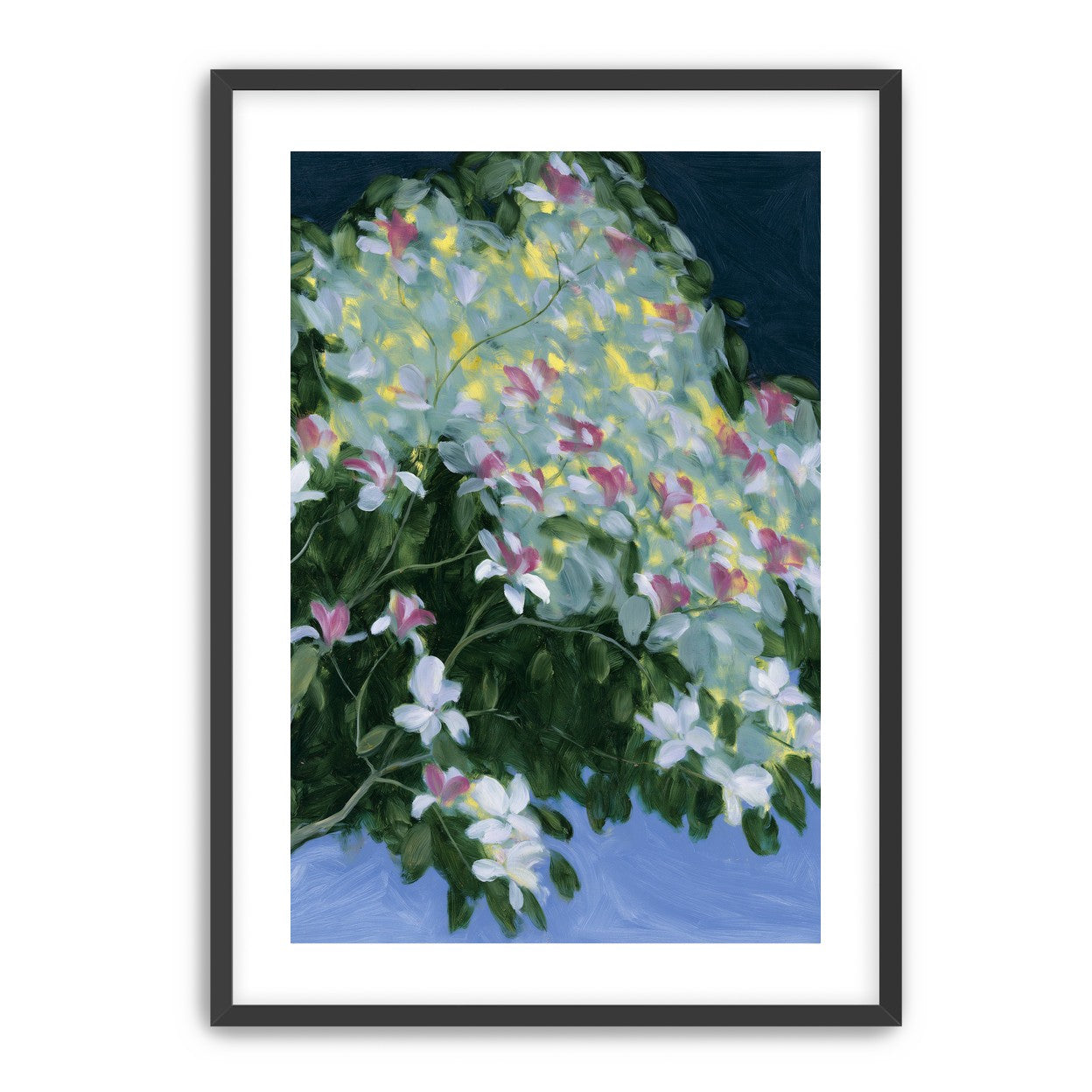 Blossoms across the night sky